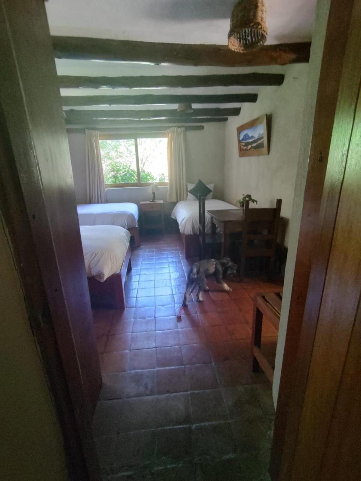 Sacred Dreams Urubamba